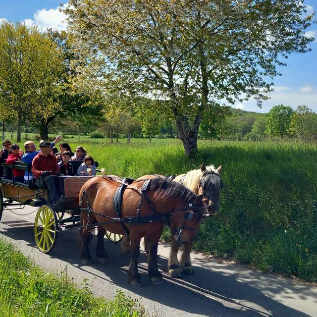 LA FERME AU BÈTH LÒC
