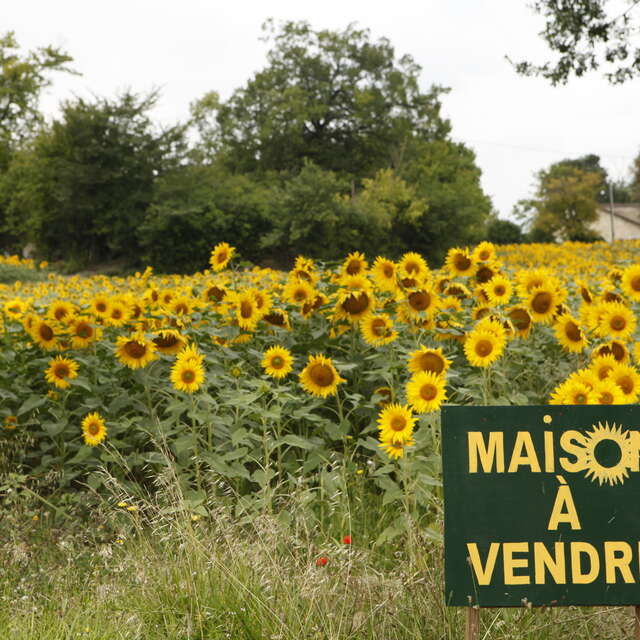 HERREMAN & CHARLES IMMOBILIER