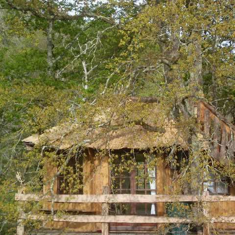 LA CABANE DES CERFS