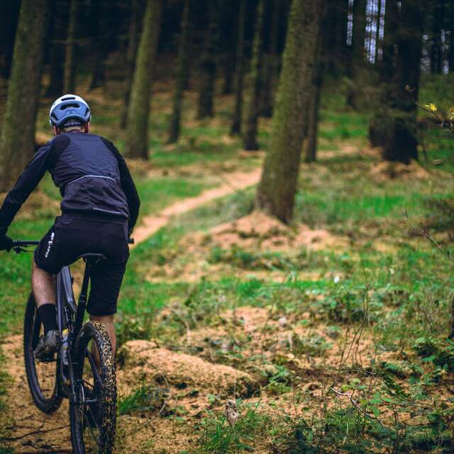 CIRCUIT N°6- LOURDES- LA FORET DE BARTRES