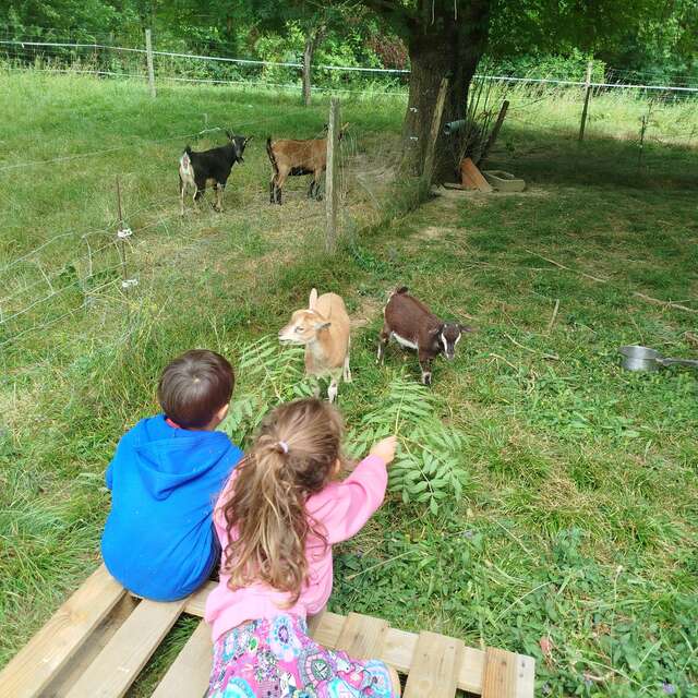 LA FERME DE LA PLAINE