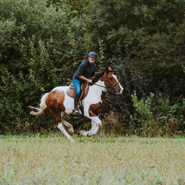 LOU PETIT TROTT A CHEVAL