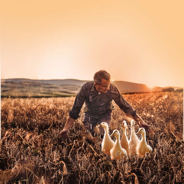 LA BOUTIQUE DU FOIE GRAS