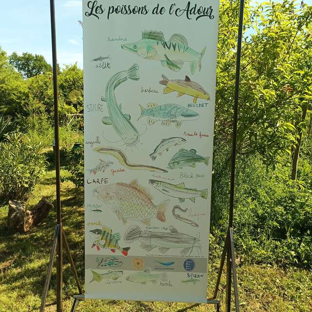 Exposition "L'Amont de l'Adour"