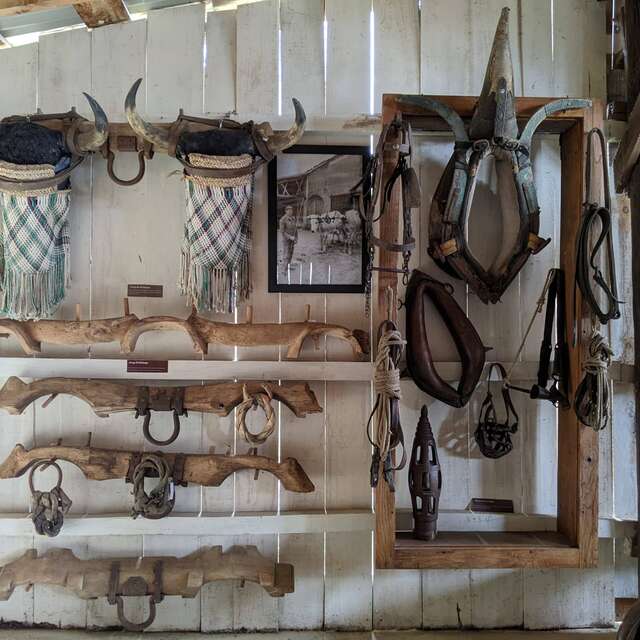Démonstration laine au Musée du Paysan Gascon