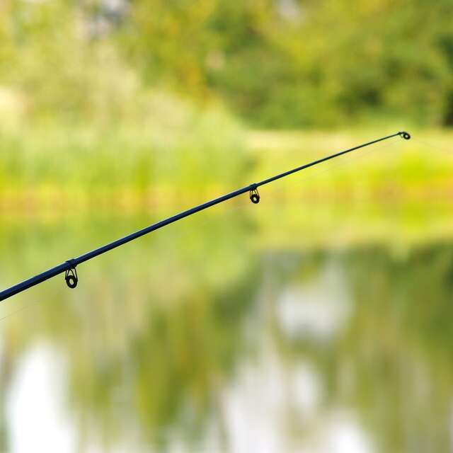 Fabrique ta canne et pêche