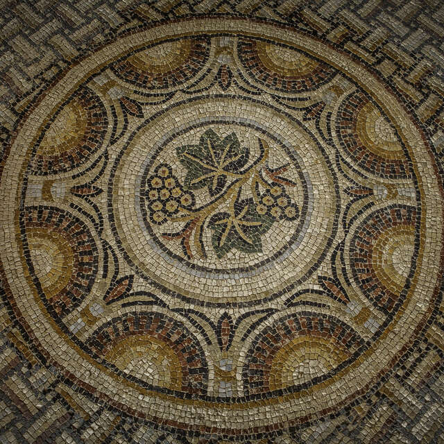 VILLA GALLO-ROMAINE DE SEVIAC