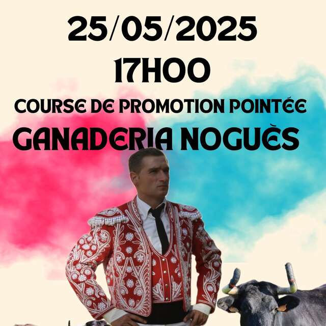 Course landaise