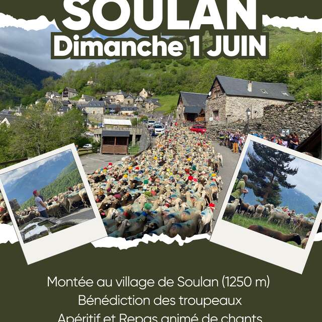 Transhumance de Soulan