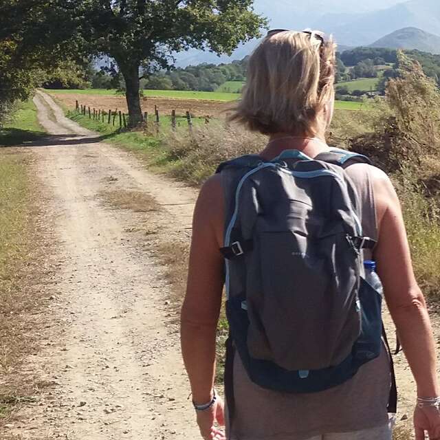 La Mingotoise : marche, trail et repas