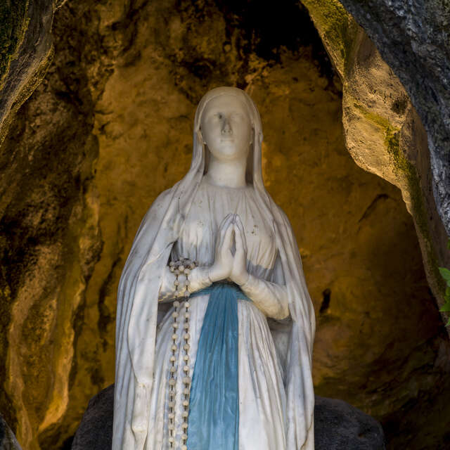 Immaculate Conception celebrations