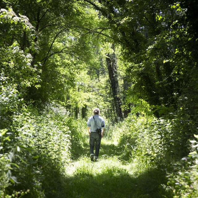 Balade découverte et repas