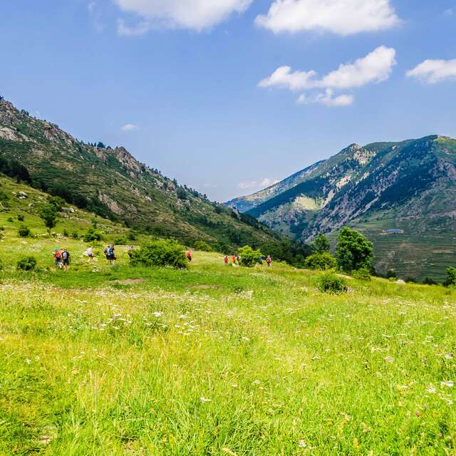 MANTET - SENTIER D'INTERPRETATION DE CISCOU LE BERGER