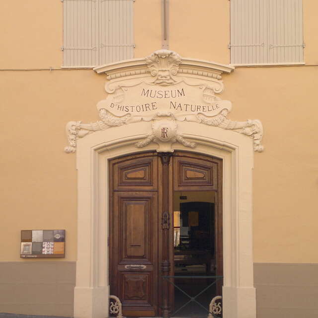 MUSEUM D'HISTOIRE NATURELLE