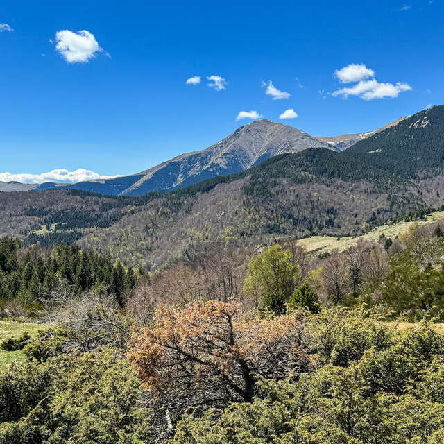 RESERVE NATURELLE DE PRATS DE MOLLO LA PRESTE