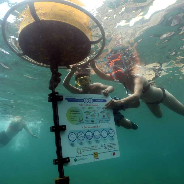 SENTIER SOUS-MARIN DE LA RESERVE MARINE CERBERE-BANYULS