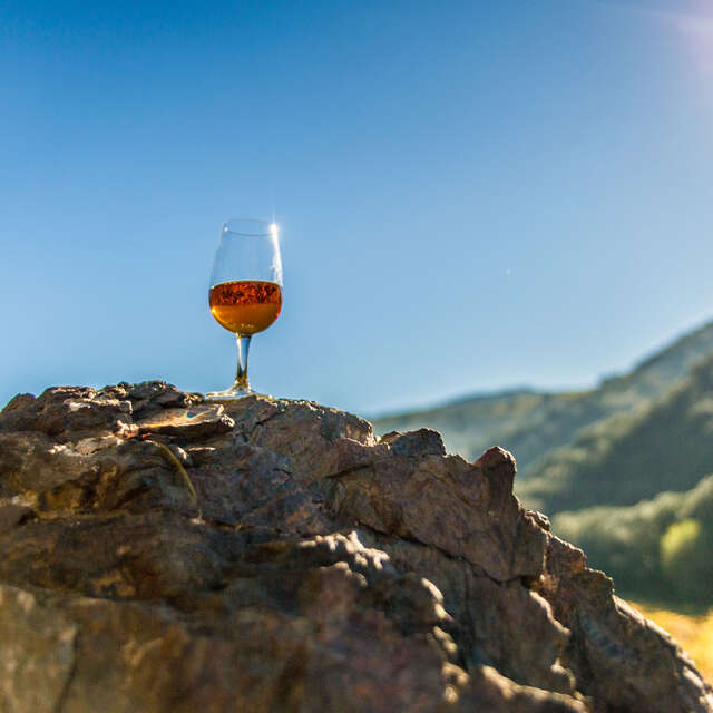 APERITIF VIGNERON