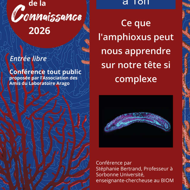 CONFERENCE LES MERCREDIS DE LA CONNAISSANCE - FÉVRIER