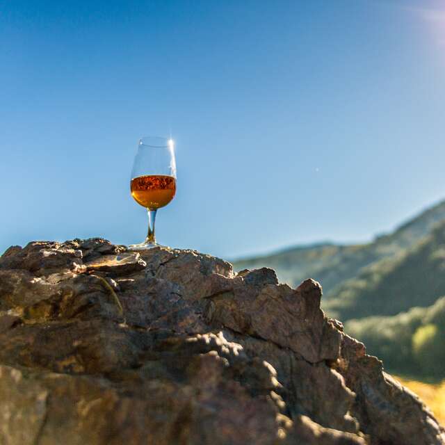 APERITIF VIGNERON