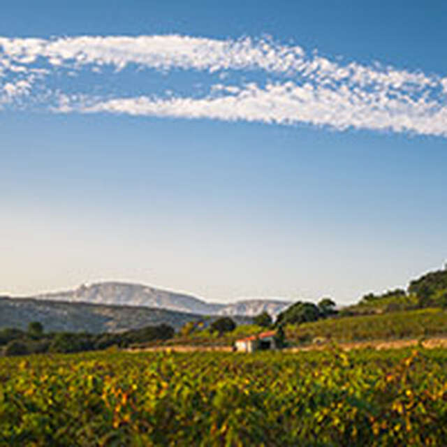 SUR LES PAS DES BERGERS