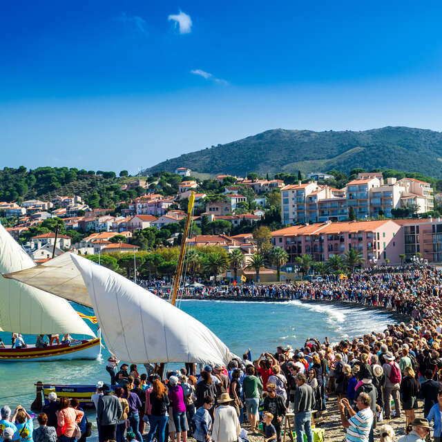 VENDANGES EN FÊTE À BANYULS