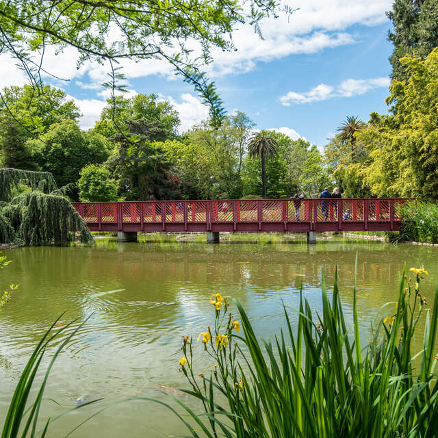 LE JARDIN DES PLANTES DES CAPELLANS