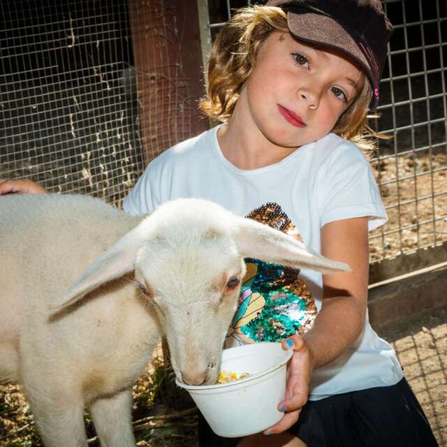 FERME DE DECOUVERTE SAINT-ANDRE