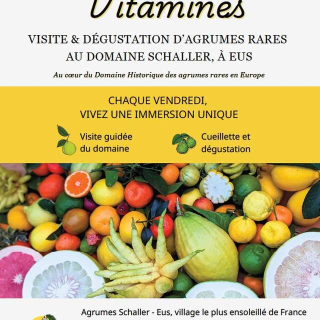 VENDREDIS VITAMINÉS