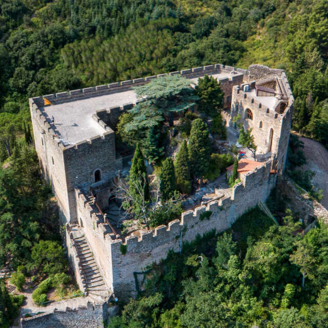 CHATEAU DE CASTELNOU