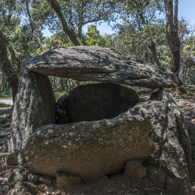 LE DOLMEN DE LA SIUREDA