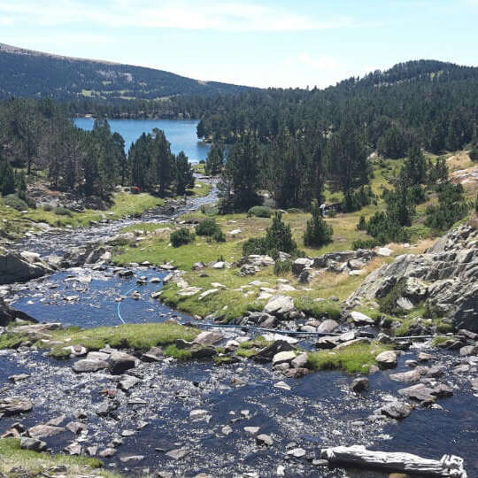 SITE CLASSE DES CAMPORELLS