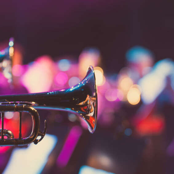 ANIMATION MUSICALE - NICO SAX