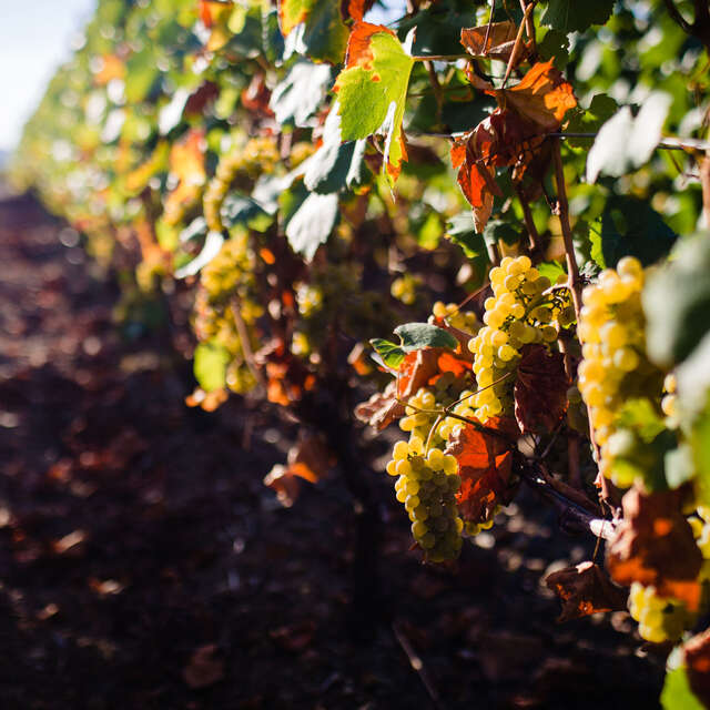 Domaine du Beauregard