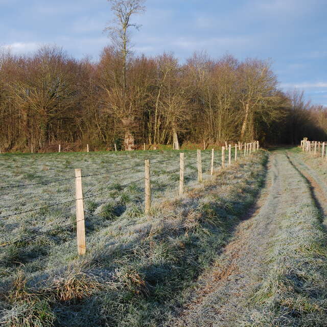 Sentier des oiseaux
