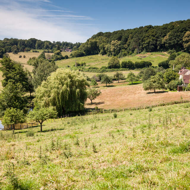 N°8 : Au coeur du bocage Percheron
