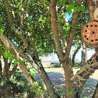 Atelier "Hôtel à insectes "