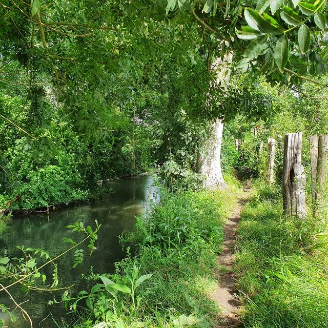 Expédition Marais Poitevin - Le Marais mouillé du Bois Riveau 