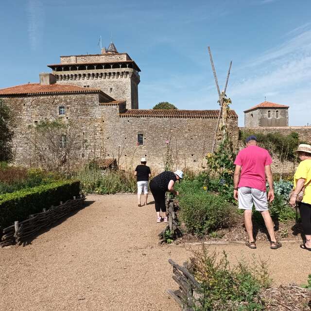 VISITE COMMENTÉE DU JARDIN