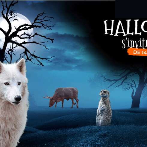 Halloween au Natur'zoo de Mervent