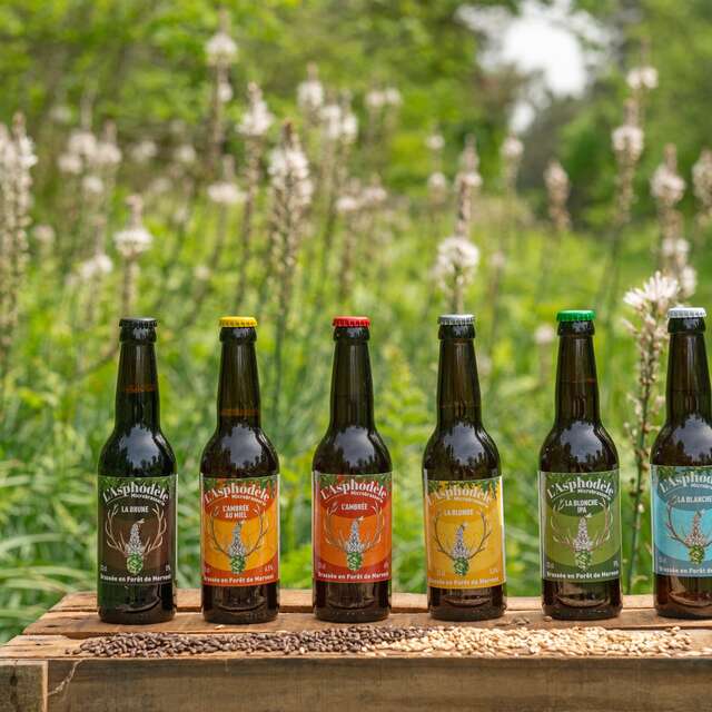 Visite de la micro-brasserie artisanale L'Asphodèle