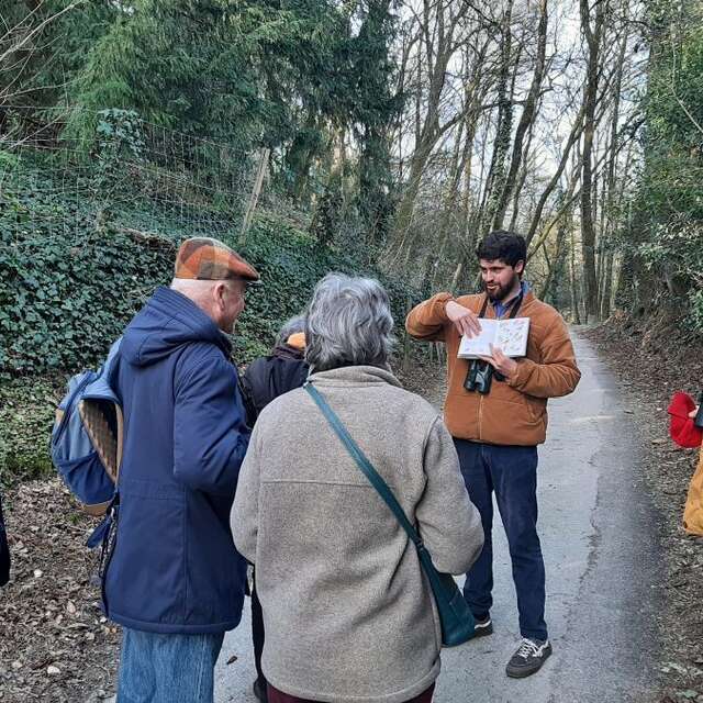 Visite guidée - Les arbres remarquables et les oiseaux chanteurs du Parc Baron