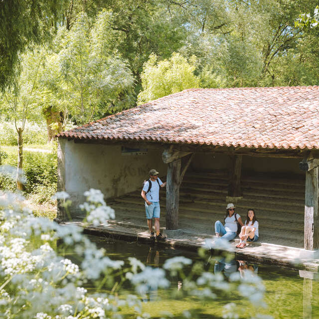 Expédition Marais Poitevin - Aziré de Marais en Rigole