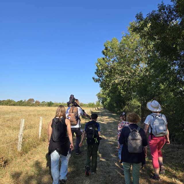 Balade ornithologique