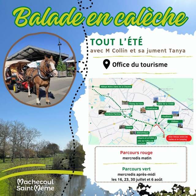 BALADE EN CALECHE