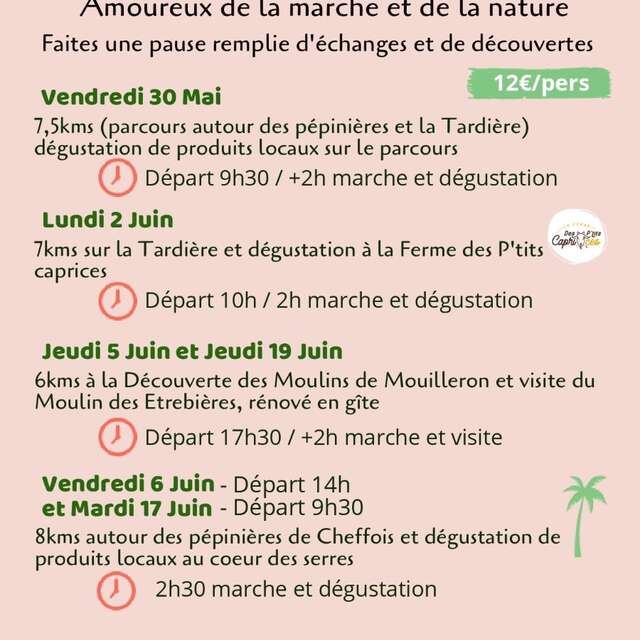 Balade et dégustation