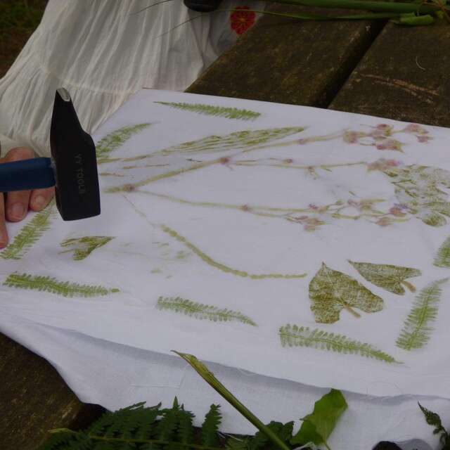 Sortie nature - botanique et feuilles frappées