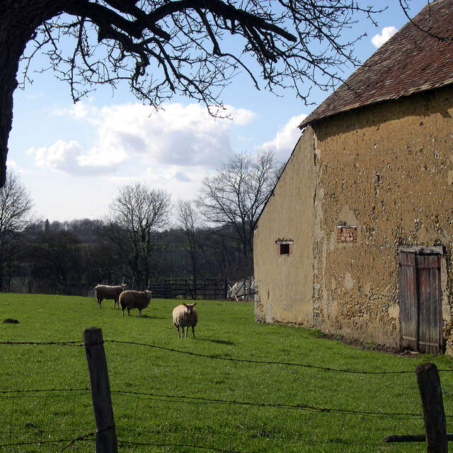 N°11 : À l'assaut des collines du Rosay