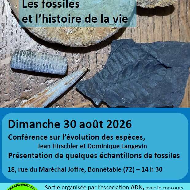 Conférence "Les fossiles et l'histoire de la vie"