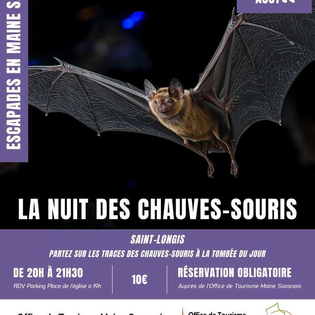 Escapades en Maine Saosnois : La nuit des chauves-souris