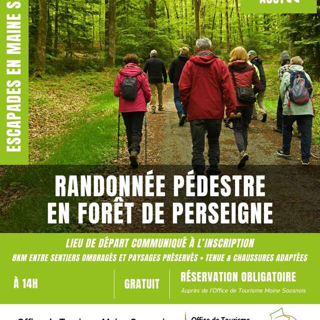 RANDONNÉE PÉDESTRE EN FORÊT DE PERSEIGNE